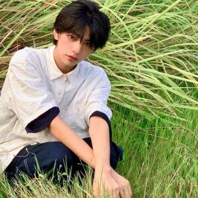 仙风道骨果盘官方版下载