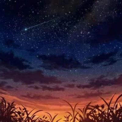 霸王战域手机版
