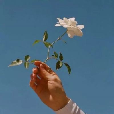 甲铁城的卡巴内瑞乱游戏下载